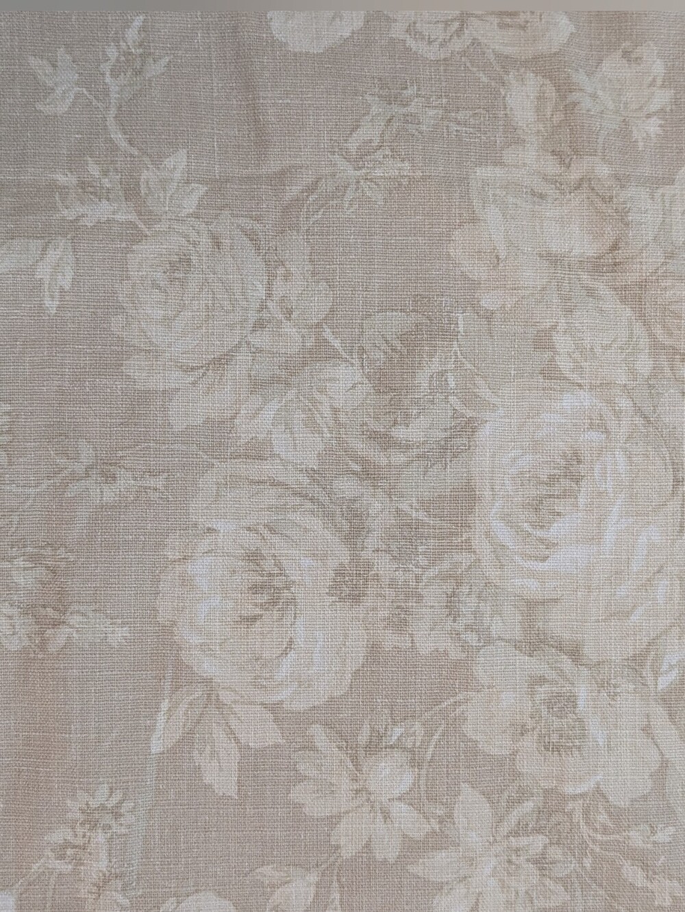 Martex 100% Cotton King Sz Pillow Shams Cabbage Rose Cream White Eco Free Vegan